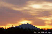 2013012107183.jpg (45781 バイト)