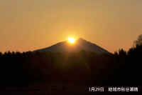 2013012907365.jpg (38456 oCg)