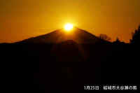 2022012504904-.jpg (35552 バイト)