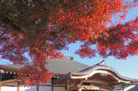 01-2025111902929-1-1.jpg (152091 �o�C�g)