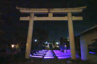 01-2026012503724-1-1-1.jpg (55329 �o�C�g)