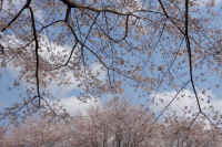 01-2026032804470.jpg (155822 �o�C�g)