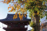 02-2025111902932-1-1.jpg (142747 �o�C�g)