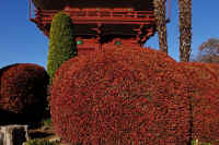 03-2025111902935-1-1.jpg (160932 �o�C�g)