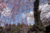 03-2026032804476-1.jpg (158489 �o�C�g)