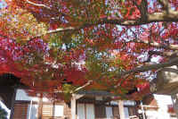 04-2025111902946-1-1.jpg (169881 �o�C�g)