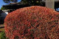 05-2025111902940-1.jpg (186128 �o�C�g)