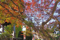 06-2025111902943-1-1.jpg (185308 �o�C�g)