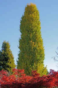 08-2025111902959-1-1.jpg (103839 �o�C�g)