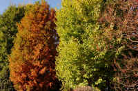 09-2025111902948-1.jpg (196231 �o�C�g)