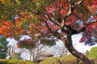 11-2025111902968-1-1.jpg (181551 �o�C�g)