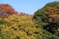 12-2025111902965-1-1.jpg (172400 �o�C�g)