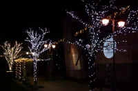 12-2026012603751-1-1-1.jpg (73279 �o�C�g)