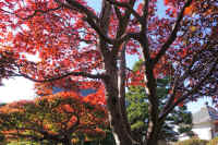 13-2025111902970-1-1.jpg (190252 �o�C�g)