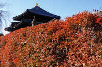 14-2025111902973-1.jpg (182472 �o�C�g)