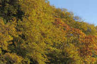 15-2025111902977-1-1.jpg (175953 �o�C�g)