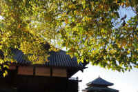 16-2025111902991-1-1.jpg (155959 �o�C�g)