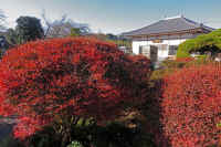 17-2025111903006-1.jpg (139820 �o�C�g)