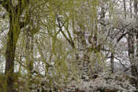 17-2026032804463.jpg (173787 �o�C�g)