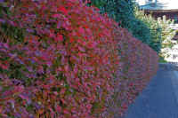 18-2025111903000-1.jpg (133838 �o�C�g)