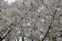 18-2026032804458.jpg (140302 �o�C�g)