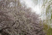 19-2026032804453.jpg (168983 �o�C�g)