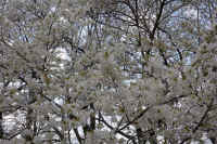 20-2026032804462.jpg (173623 �o�C�g)