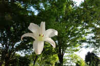 2025083001818.jpg (116140 oCg)