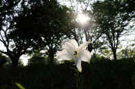 2025083001823-1.jpg (97980 oCg)