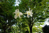 2025083001837-1.jpg (151547 oCg)