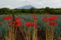 2025092301950-1-1.jpg (91969 oCg)