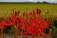 2025092301959-1.jpg (99960 oCg)