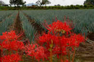 2025092301970-1-1.jpg (124731 oCg)