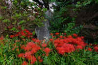 2025092702147.jpg (141460 oCg)