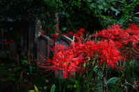 2025092702149.jpg (109914 oCg)