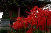 2025092702150.jpg (97244 oCg)