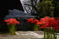 2025092702154-1.jpg (108950 oCg)