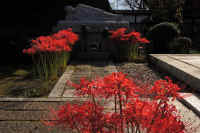 2025092702155.jpg (109931 oCg)