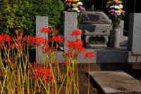 2025092702156.jpg (131756 oCg)