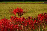 2025092702171.jpg (103749 oCg)