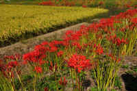 2025092702176-1.jpg (151797 oCg)