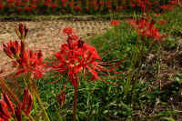 2025092702185.jpg (147604 oCg)