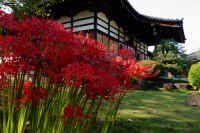 2025092702194.jpg (120031 oCg)