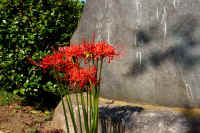 2025092702196.jpg (147156 oCg)