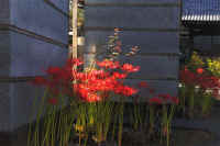 2025092702200-1.jpg (93638 oCg)