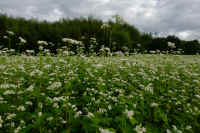 2025100602259-1.jpg (279597 バイト)