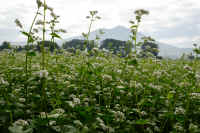 2025100602263-1.jpg (809152 oCg)