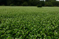 2025100602280-1.jpg (146835 バイト)