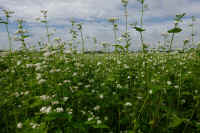 2025100602283-1.jpg (118228 oCg)