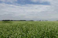 2025100602291-2.jpg (102365 oCg)